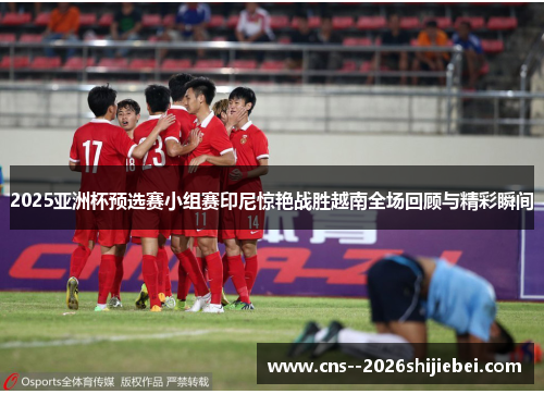 2025亚洲杯预选赛小组赛印尼惊艳战胜越南全场回顾与精彩瞬间