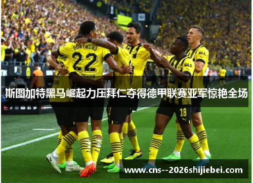 斯图加特黑马崛起力压拜仁夺得德甲联赛亚军惊艳全场 斯图加特黑马崛起力压拜仁夺得德甲联赛亚军惊艳全场